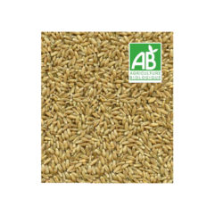 triticale bio 25kg