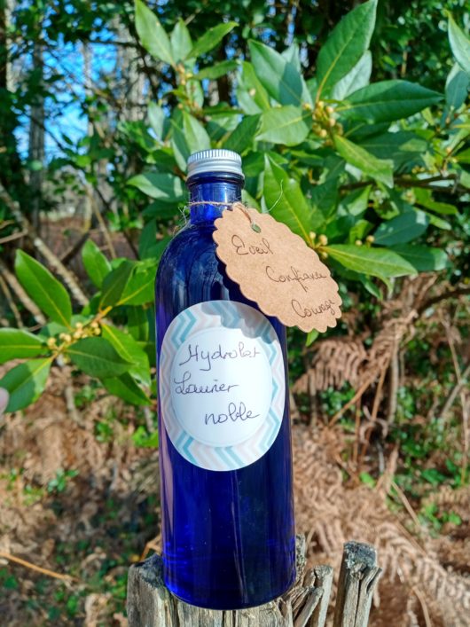 Hydrolat Laurier noble 200mL