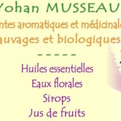 Yohan Musseau