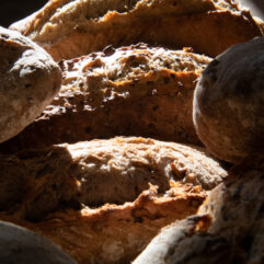 Le fournil de Lescale