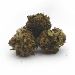 CBD La Beuh Grasse de Bazas (1 gramme)